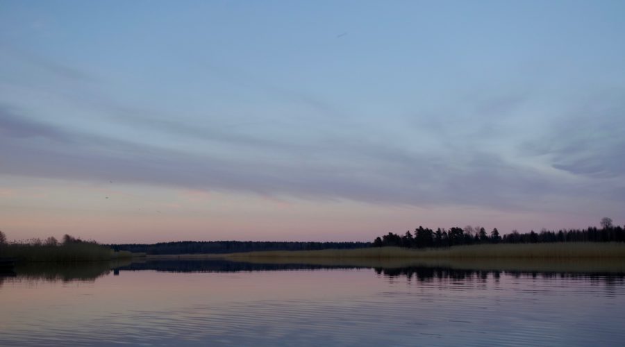 Controlling Beavers - The Pacific Streamkeepers Federation